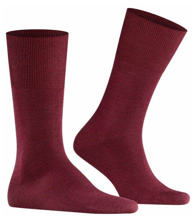 Falke Falke Airport <span>14435 8596 Airport sokken</span> Barolo Falke Airport <span>14435 8596 Airport sokken</span> 14435 8596 Airport sokken bordeaux - www.bremmerschoenen.info - Bremmer Schoenen