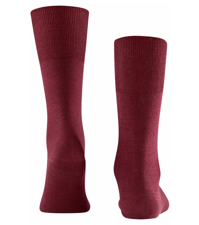 Falke Falke Airport <span>14435 8596 Airport sokken</span> Barolo Falke Airport <span>14435 8596 Airport sokken</span> 14435 8596 Airport sokken bordeaux - www.bremmerschoenen.info - Bremmer Schoenen