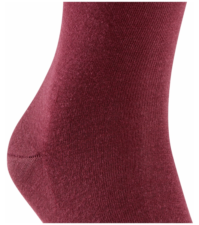 Falke Falke Airport <span>14435 8596 Airport sokken</span> Barolo Falke Airport <span>14435 8596 Airport sokken</span> 14435 8596 Airport sokken bordeaux - www.bremmerschoenen.info - Bremmer Schoenen