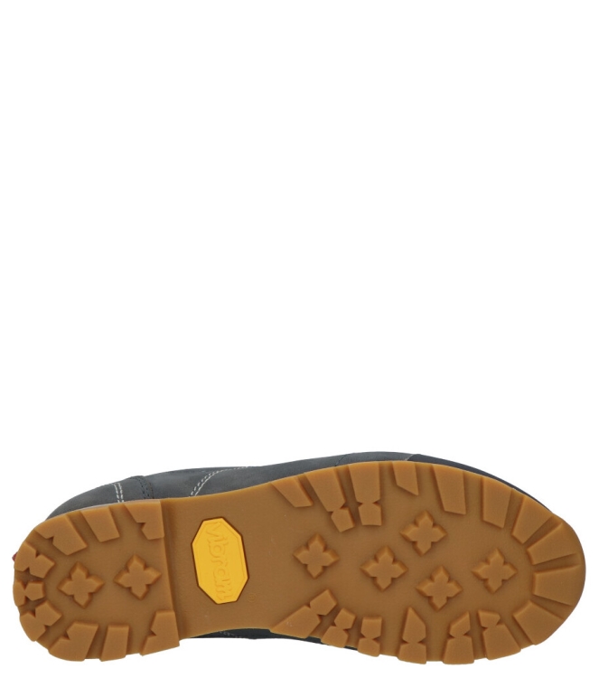 Dolomite wandelschoen laag <span>292534 0158 Low FG EVO GTX W</span> 292534 0158 Low FG EVO GTX W blauw - www.bremmerschoenen.info - Bremmer Schoenen
