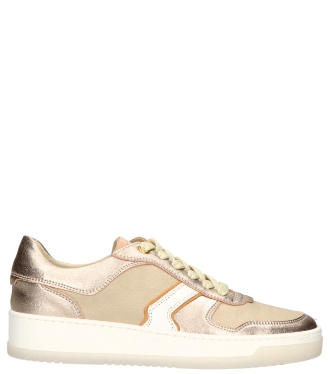 DL-Sport sneaker <span>6201 Versione 03</span> 6201 Versione 03 goud - www.bremmerschoenen.info - Bremmer Schoenen