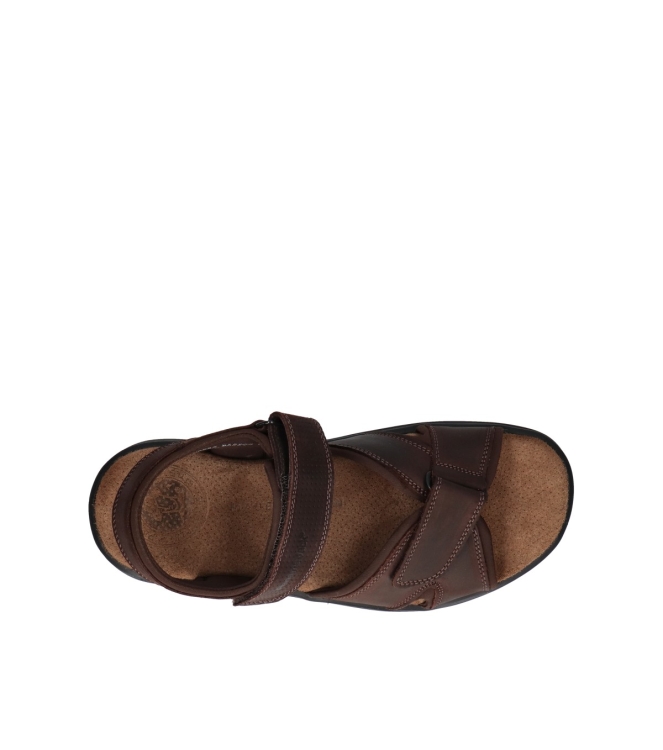 Panama Jack Panama Jack sandalen <span>Sanders Basics C1</span> C1 Napa Grass Marron/Brown Panama Jack sandalen <span>Sanders Basics C1</span> Sanders Basics C1 bruin - www.bremmerschoenen.info - Bremmer Schoenen