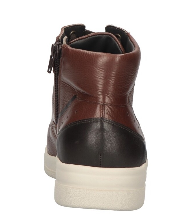 Gijs Gijs sneaker <span>2140 208 1239</span> 1239 bruin Gijs sneaker <span>2140 208 1239</span> 2140 208 1239 cognac - www.bremmerschoenen.info - Bremmer Schoenen