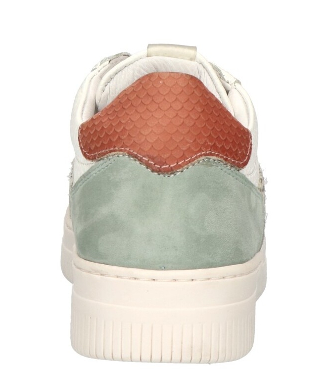 Maruti Maruti sneaker <span>66.1524.01 B7C Momo</span> B7C green white pixel Maruti sneaker <span>66.1524.01 B7C Momo</span> 66.1524.01 B7C Momo groen - www.bremmerschoenen.info - Bremmer Schoenen