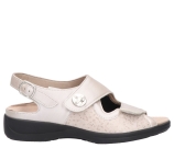 Kleur Beige