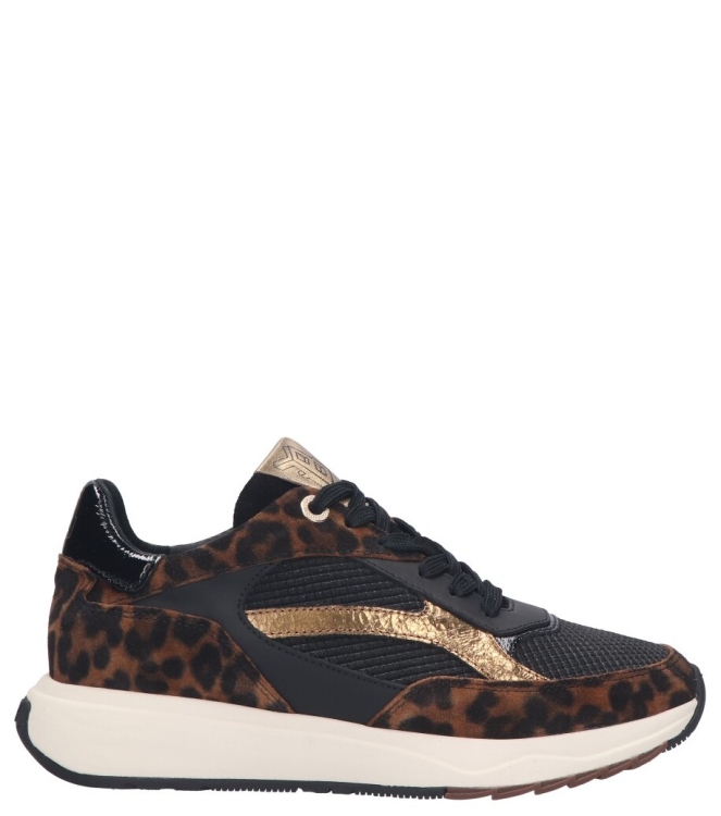 Floris van Bommel Floris van Bommel sneaker <span>SFW-10138 20-01 Suvi 02.00</span> 20-01 Brown Floris van Bommel sneaker <span>SFW-10138 20-01 Suvi 02.00</span> SFW-10138 20-01 Suvi 02.00 bruin - www.bremmerschoenen.info - Bremmer Schoenen