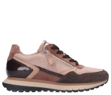 Kleur Beige