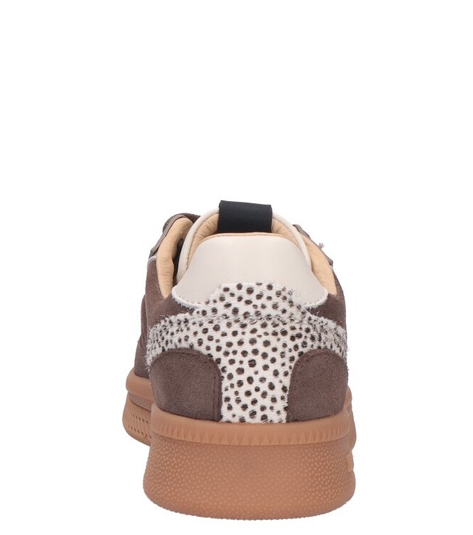 Maruti sneaker <span>66.1844.03 DO1 Yale</span> 66.1844.03 DO1 Yale bruin - www.bremmerschoenen.info - Bremmer Schoenen