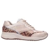 Kleur Beige