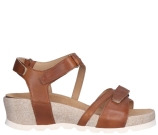 Kleur Cognac