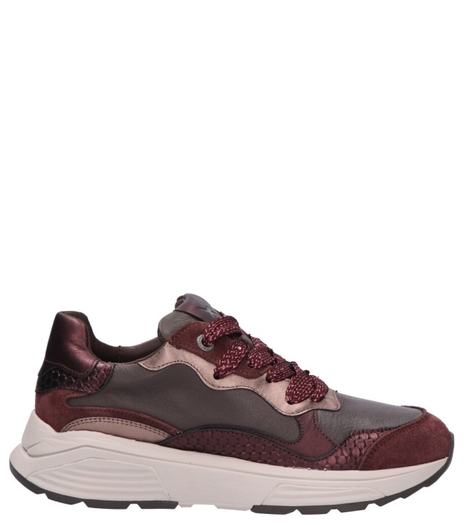 Xsensible Xsensible sneaker <span>33011.3 747 Rainbow GX</span> 747 Bordeaux Combi Xsensible sneaker <span>33011.3 747 Rainbow GX</span> 33011.3 747 Rainbow GX bordeaux - www.bremmerschoenen.info - Bremmer Schoenen