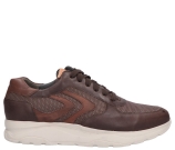 Kleur Bruin