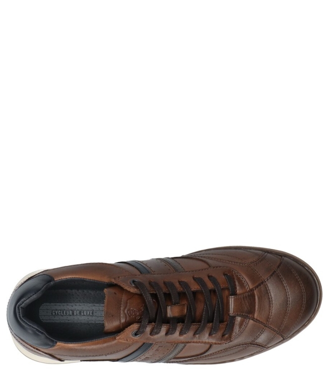 Cycleur de Luxe Cycleur de Luxe sneaker <span>CDLM262138 Newcrush</span> dark cognac Cycleur de Luxe sneaker <span>CDLM262138 Newcrush</span> CDLM262138 Newcrush cognac - www.bremmerschoenen.info - Bremmer Schoenen