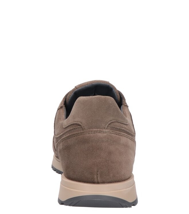 Cycleur de Luxe Cycleur de Luxe sneaker <span>CDLM262144 Jog V2</span> walnut Cycleur de Luxe sneaker <span>CDLM262144 Jog V2</span> CDLM262144 Jog V2 groen - www.bremmerschoenen.info - Bremmer Schoenen