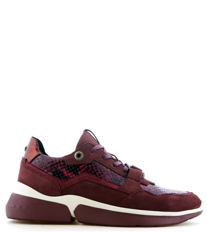 Floris van Bommel Floris van Bommel sneaker <span>85291/02</span> Bordo Floris van Bommel sneaker <span>85291/02</span> 85291/02 bordeaux - www.bremmerschoenen.info - Bremmer Schoenen