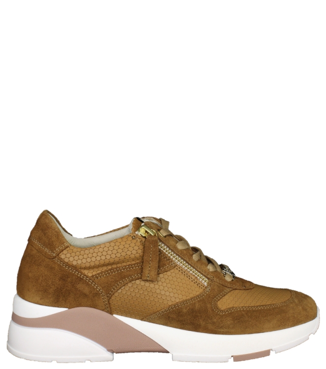 DL-Sport DL-Sport sneaker <span>4638 versione 03 velour cognac</span> cognac DL-Sport sneaker <span>4638 versione 03 velour cognac</span> 4638 versione 03 velour cognac cognac - www.bremmerschoenen.info - Bremmer Schoenen