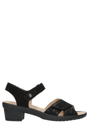 Hartjes
